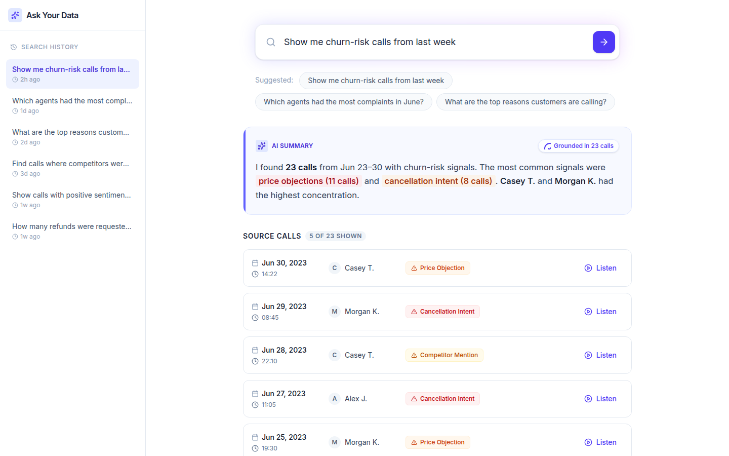 What Ask Your Data Looks Like